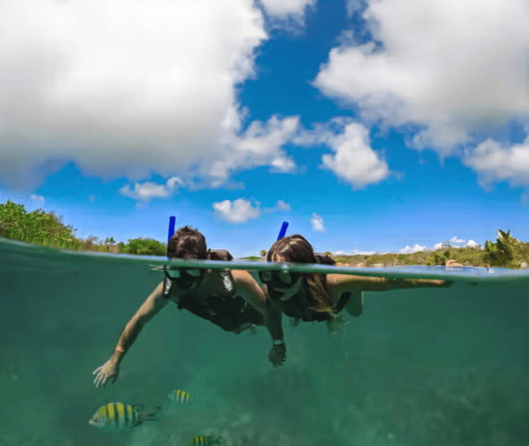 Explore and dive in a cenote and snorkel in Yal kú lagoon + Snaks - Explore and dive in a cenote and snorkel in Yal kú lagoon + Snaks