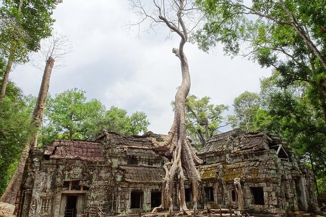 Explore Angkor Wat and Ta Phrom in depth - The Sum Up