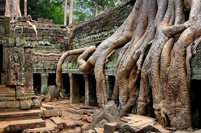Explore Angkor Wat Temple , Bayon Temple and Jungle Temple Ta-Prohm - The Sum Up