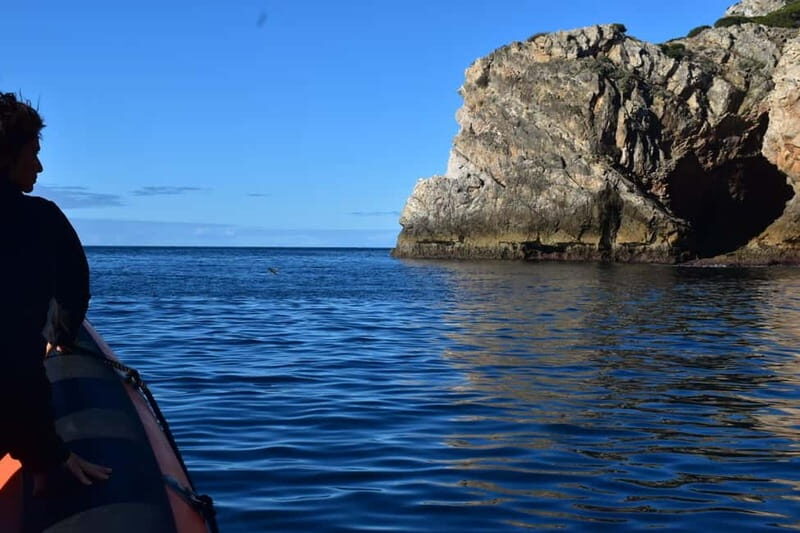 Explore Arrábida by Boat - FAQ