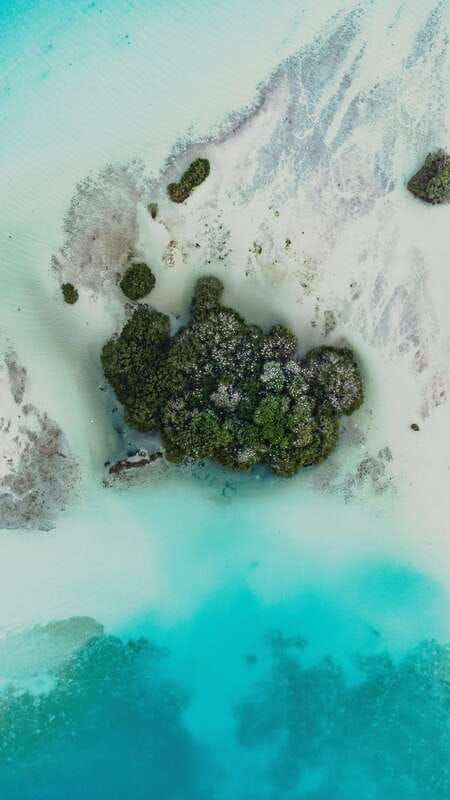 explore-bacalar-lagoon-by-kayak-full-day-rental