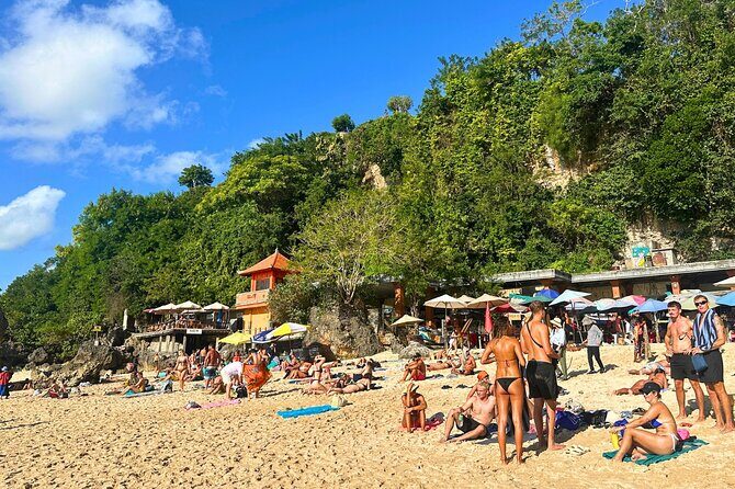 Explore Bali Beaches with Private Minivan Tour - Who Will Love This Tour?