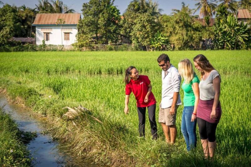Explore Balis Rice Terraces: Private Guided Hiking Tour - Is This Tour Worth It?