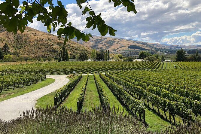 Explore Bannockburn Wineries & Private Wine Retreat by eBike - Why This Tour Is Worth Considering