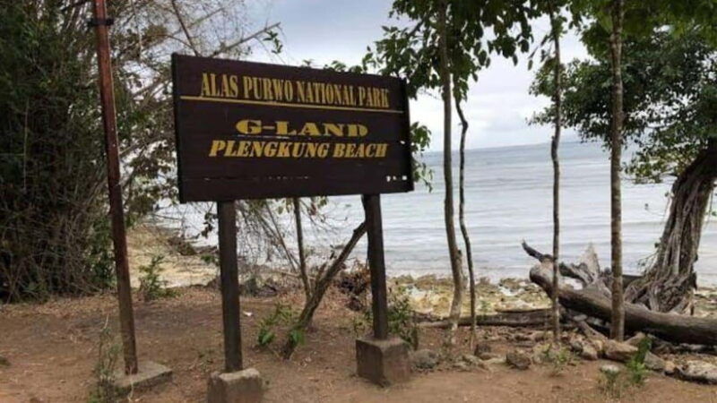 explore-banyuwangi-3-day-2-night