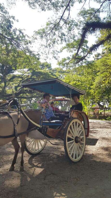 explore-banyuwangi-by-menara-timur-tour-travel