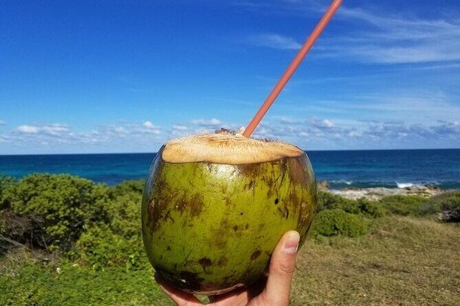 Explore Batam Day Tour With Lunch - Key Points