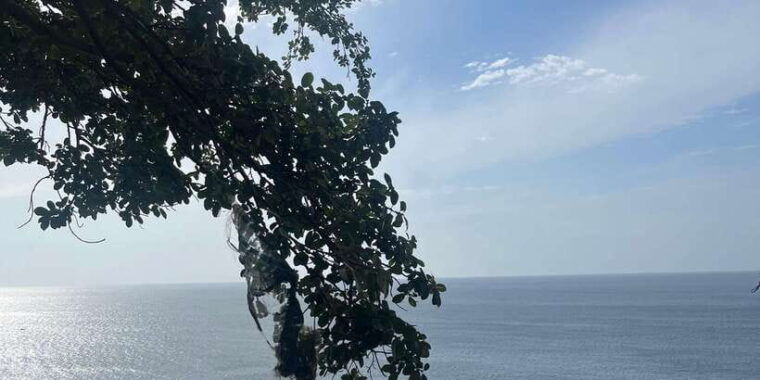 explore-beautiful-trincomalee-with-a-tour-guide
