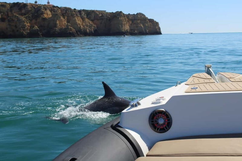 Explore Benagil, Ponta da Piedade and Dolphins in Algarve - The Experience Overview