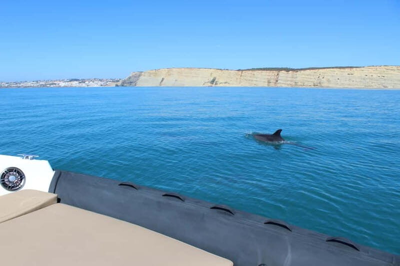 Explore Benagil, Ponta da Piedade and Dolphins in Algarve - Important Considerations