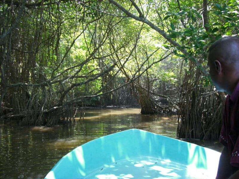 explore-bentota-riversafari-tour-with-hotel-pickupdrop-off