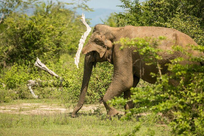 Explore Beyond the Ordinary - A Warm Welcome and First Impressions