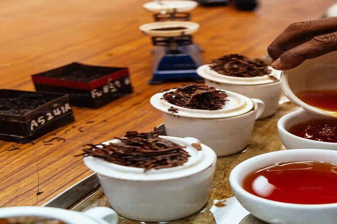 Explore Beyond the Ordinary - Cultural and Natural Exploration in Polonnaruwa and Wasgamuwa