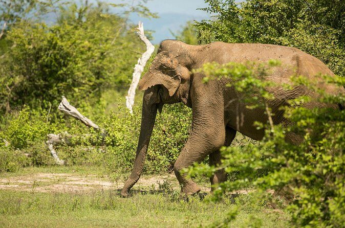 Explore Beyond the Ordinary - Beach Time and Marine Life