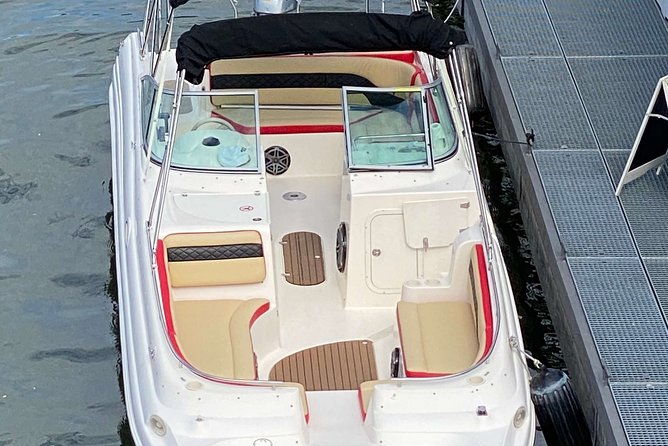 explore-bird-marine-wildlife-private-boat-tour-in-english