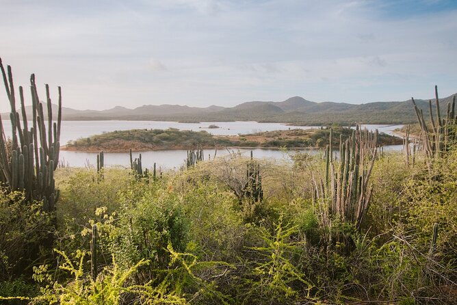 explore-bonaire-north-south-tour