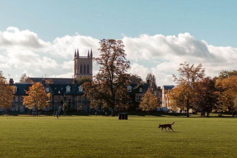 Explore Cambridge with Family  Private Walking Tour - The Fitzwilliam Museums Heritage