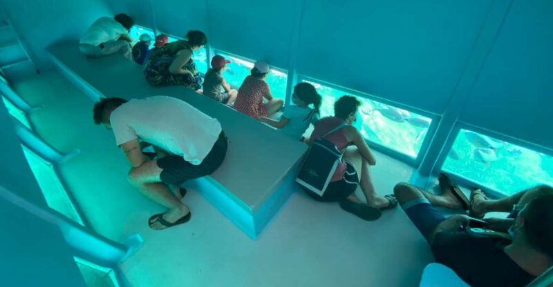 explore-cap-norfeu-and-the-secret-cave-an-underwater-vision