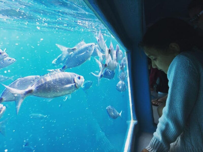 explore-cap-norfeu-and-the-secret-cave-an-underwater-vision