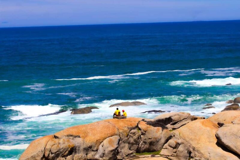 Explore Cape of Good Hope and Boulders Beach: Private Tour - Exploring Cape of Good Hope and Boulders Beach: Private Tour  
