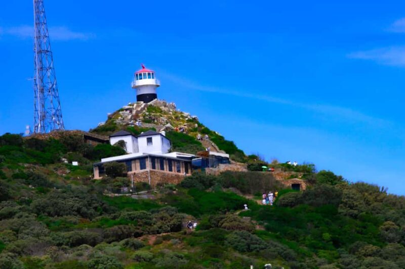 Explore Cape of Good Hope and Boulders Beach: Private Tour - What You Need to Know Before Booking  