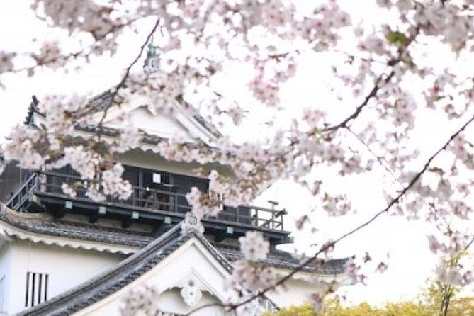 explore-castles-tour-in-samurai-city-aichi-using-local-train