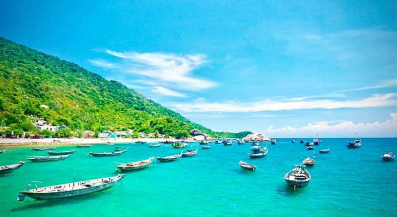 explore-cham-island-and-dive-to-observe-coral