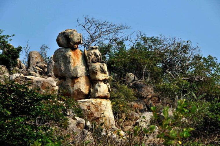 explore-cham-island-and-dive-to-observe-coral