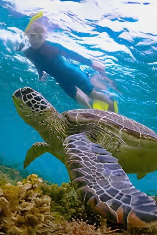 explore-cham-island-sightseeing-and-snorkeling-adventure