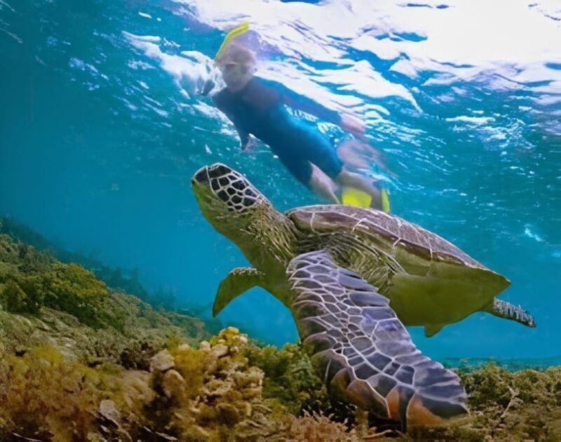 explore-cham-island-sightseeing-and-snorkeling-adventure