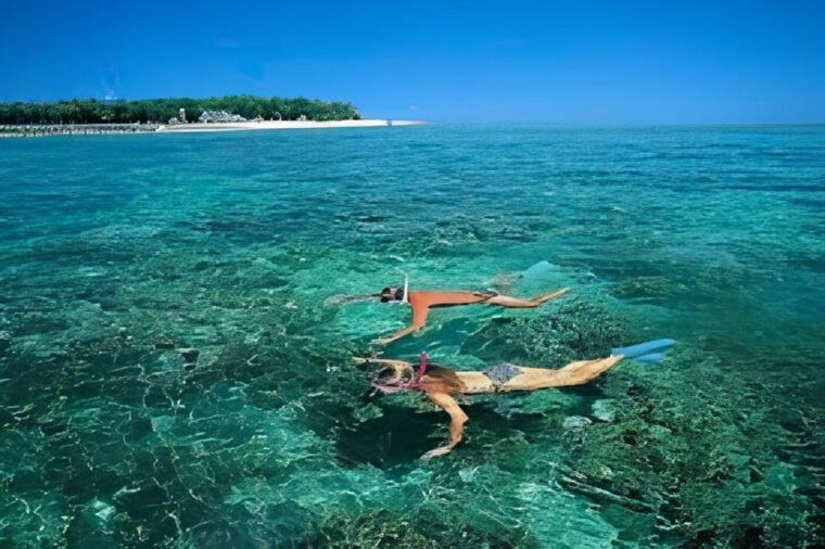 explore-cham-island-sightseeing-and-snorkeling-adventure