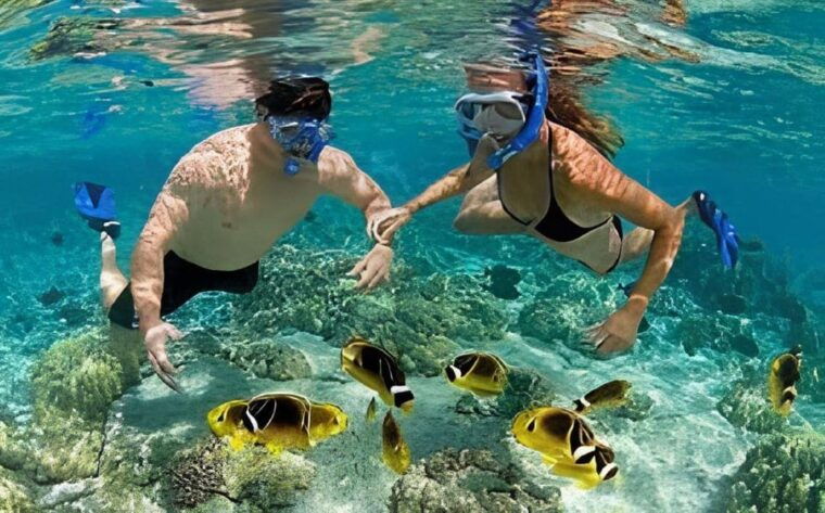 explore-cham-island-sightseeing-and-snorkeling-adventure