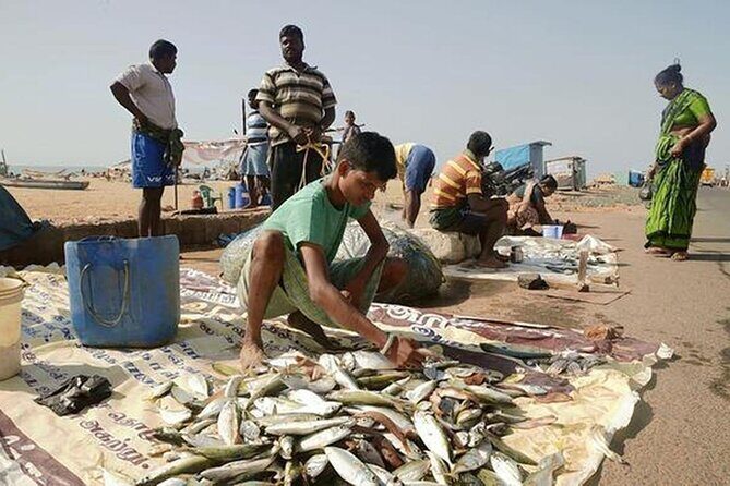 Explore Chennai Private Car Tour Experience - The Sum Up