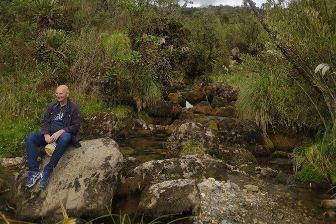 explore-chingaza-natural-park-a-scenic-adventure-from-bogota