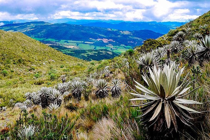 explore-chingaza-natural-park-a-scenic-adventure-from-bogota