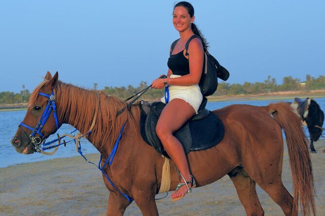 Explore Djerba by camel and horse - Discover Djerba by Camel and Horse: An Authentic Ride Through the Islands Natural Beauty