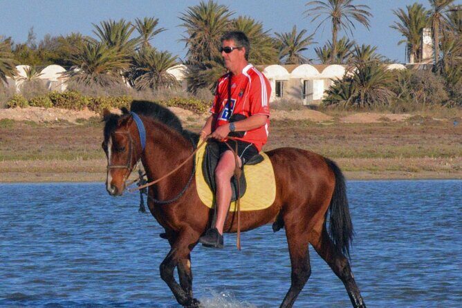 Explore Djerba by camel and horse - Key Points