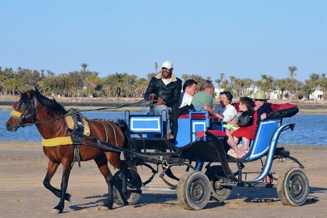 Explore Djerba by camel and horse - Why This Tour Works for You