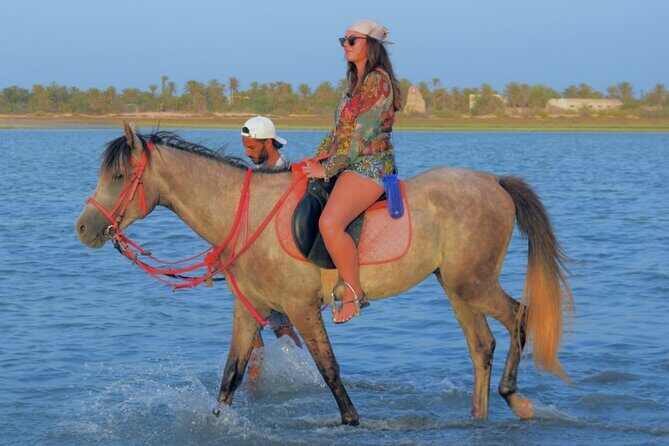 Explore Djerba by camel and horse - Who This Tour Is Best For