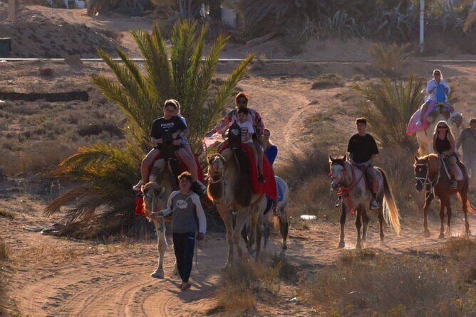 Explore Djerba by camel and horse - Frequently Asked Questions
