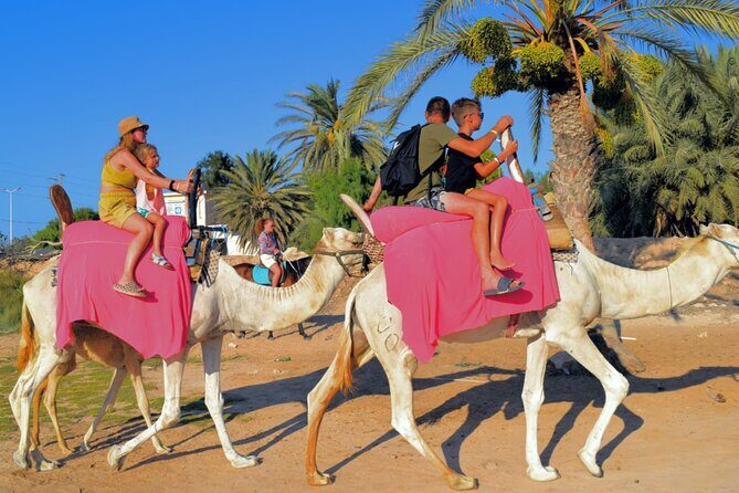 Explore Djerba by camel and horse - Final Thoughts