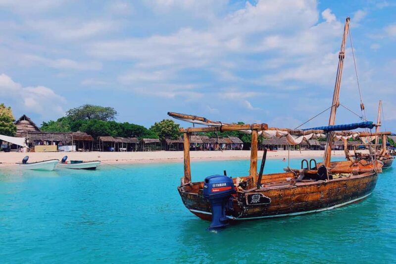 Explore dolphin at Mnemba, Jozani and Kuza Cave - Authentic Tips and Insights from Reviewers