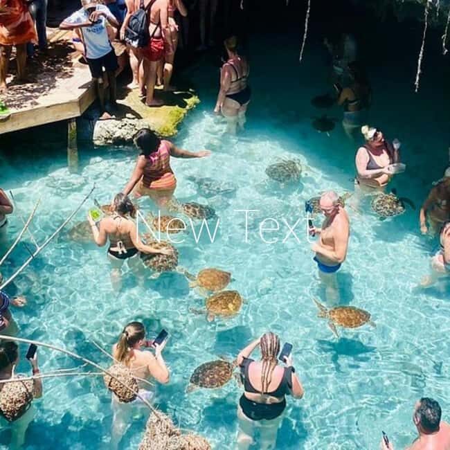 Explore dolphin at Mnemba, Jozani and Kuza Cave - FAQ