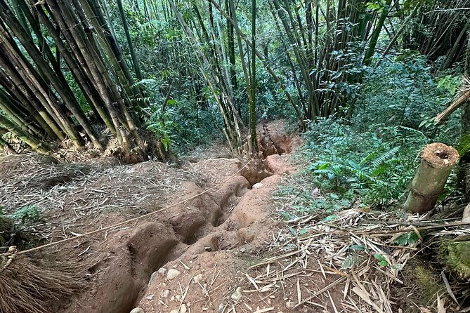 explore-el-yunque-tour-adventure