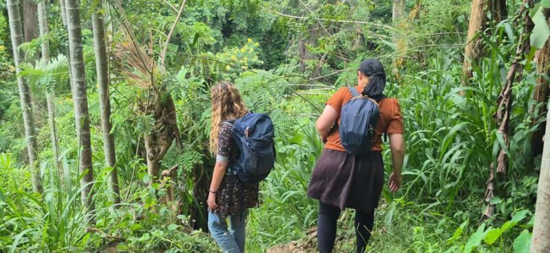 Explore Ellas Iconic Waterfalls on Scenic Tuk Tuk Adventure - A Deep Dive into the Waterfalls and Surroundings