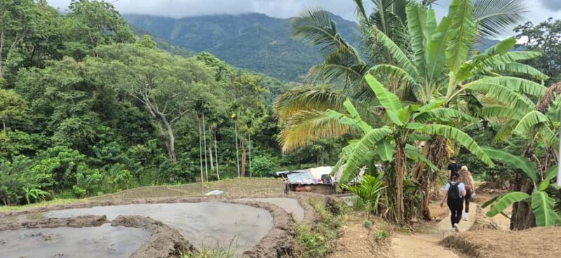 Explore Ellas Iconic Waterfalls on Scenic Tuk Tuk Adventure - FAQs