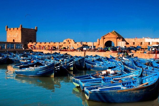 Explore Essaouira on a Day Trip from Marrakech - Who Will Love This Experience