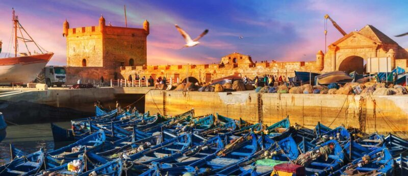 Explore Essaouira's Secrets: A Guided Tour with a Local! - The Practicalities: What to Expect and Considerations