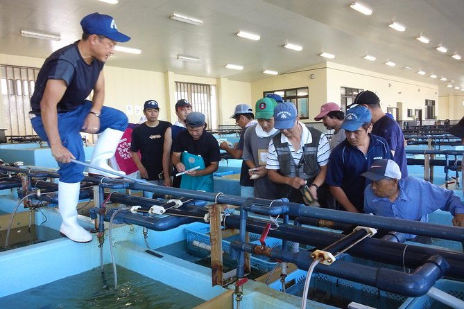 explore-fishermen-island-in-japanise-shima