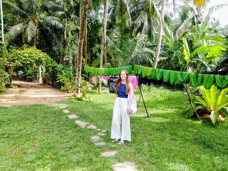 Explore Galle's Hidden Gems & Dine with Locals - Meeting Turtle Conservation Heroes